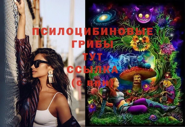 ГАЛЛЮЦИНОГЕННЫЕ ГРИБЫ Алзамай