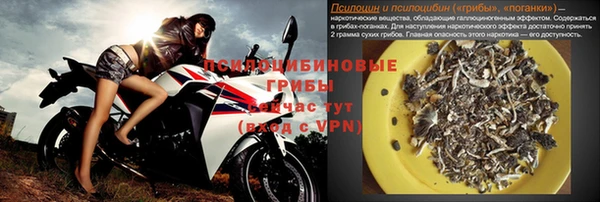 амф Алексеевка